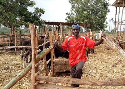 Alfred in his newly-created pens for livestock